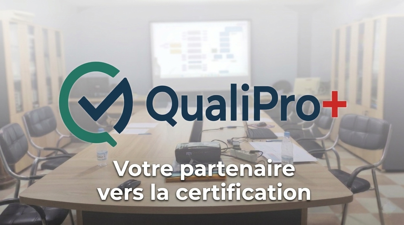 QualiPro Values